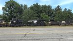 NS 4503